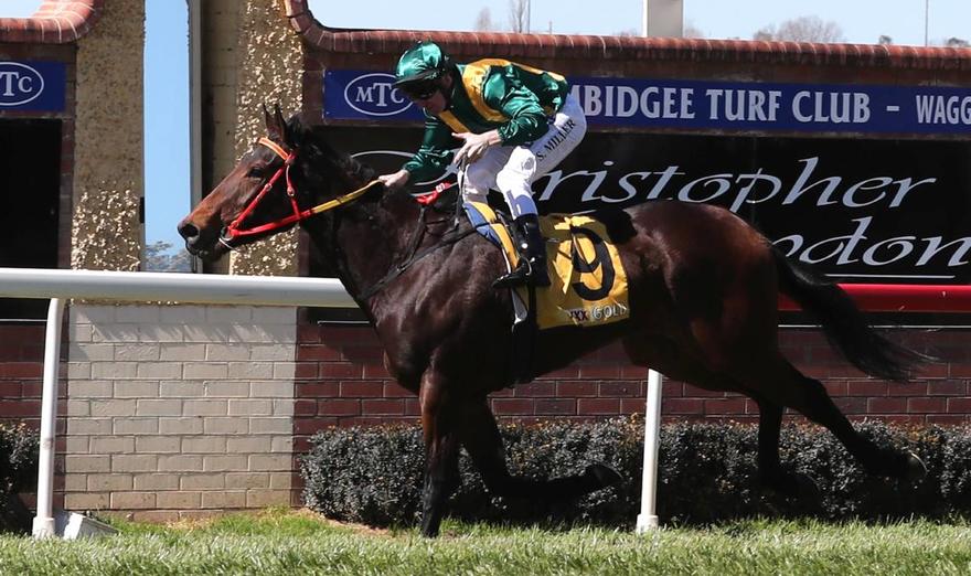 Dutchesse Moshe salutes on debut