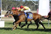 Loyal Toast clings on to score