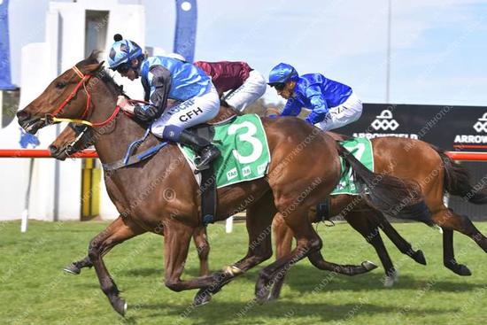 Melberra Stars at Kembla Grange