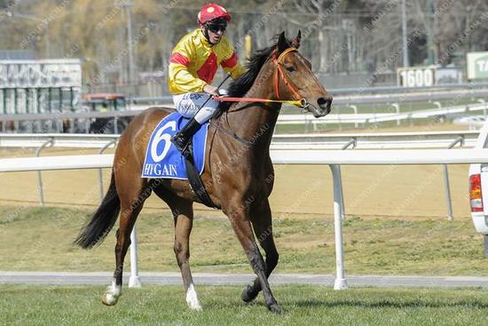 D'Beak wins Queanbeyan Cup Prelude 