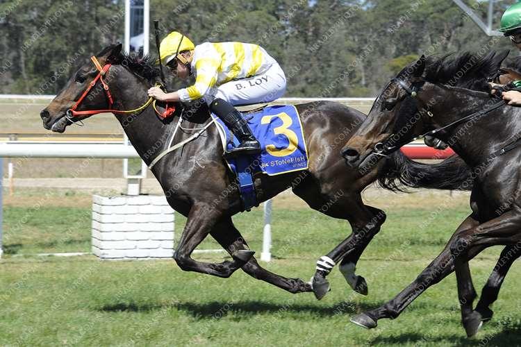 Australian Horse Trainers Joseph & Jones Racing Horses For Sale
