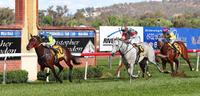 Rock On Zariz wins Stan Sadleir at Wagga