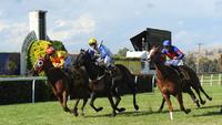 Mercurial Lad claims victory in the 2017 Snake Gully Cup