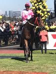 Token Of Love chalks up G2 placing at Flemington