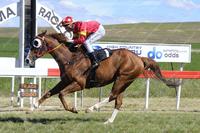 Girls Own romps in the Cooma Cup