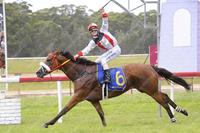 Almost Court blitzes them in Narooma Cup