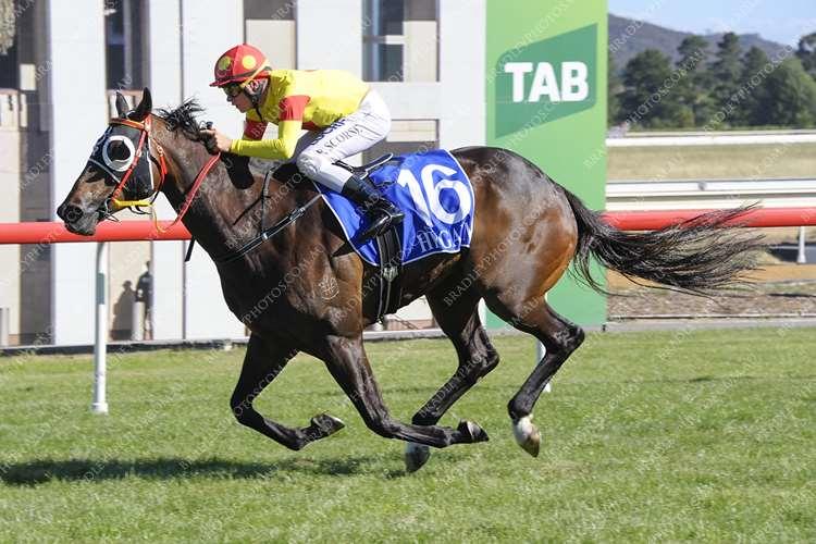 Croix De Vie wins third Federal 