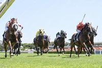Almost Court dead heats at Royal Randwick