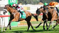 Almost Court wins Canberra Cup