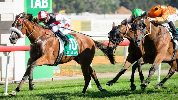 Almost Court wins Canberra Cup 