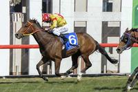 D'Beak sets sights on Wagga Cup