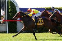 Mookareena wins at the Snake Gully Carnival