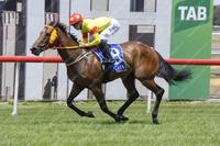 Reign Over Me gets the job done