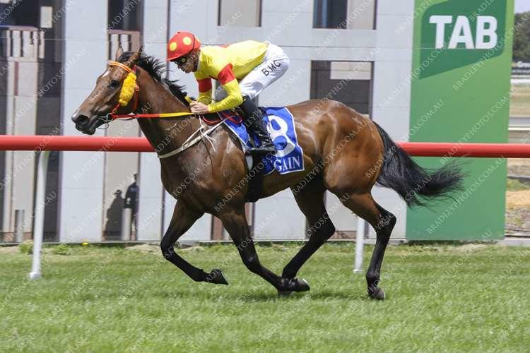 Reign Over Me gets the job done 