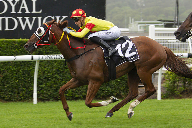 Mercurial Lad delivers at Randwick 