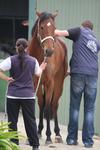 Behind The Scenes PART 1 - our vet