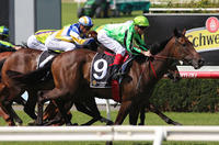Consommateur's Epona Stakes