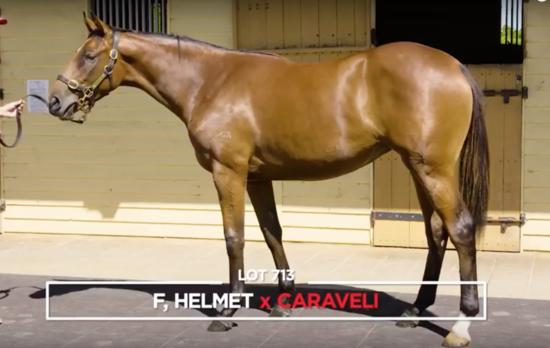 Helmet X Caraveli