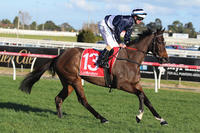 Abbey On Track For Big Spring