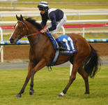 Jake Heads To New Zealand
