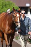 What is it like having a runner on Cup Day?