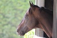 Supido Loving Life!