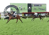 Man Of His Word makes light work of his rivals