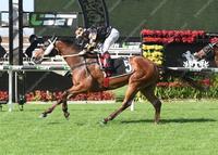 Man Of His Word sets a new track record