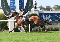 Stakes win for Man Of His Word
