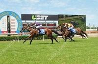 Davor records win number two