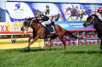Dubawi Sniper salutes at Grafton