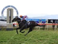 Taillevent takes out the Murwillumbah Newmarket
