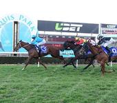 Airlie Man proves too good first up