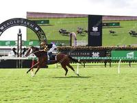 Gun Bolt triumphs at Eagle Farm