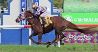 Bodega Negra brings home the South Grafton Cup