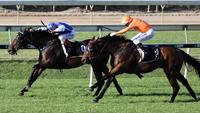 Edmonds looking to keep impressive strike rate going