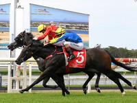 Trainer's sensational winning strike rate at Corbould Park
