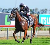 Edmonds hoping Houtzen dream continues