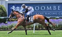 Toby Edmonds weighs up Gold Coast hitout to guarantee Houtzen’s MM spot