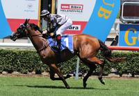 Houtzen new Magic Millions favourite