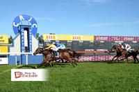 Impregnable Stuns With Amazing Grafton Win