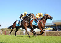 Tough Win By Impregnable