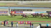 I Am Impinge Dominates At Coffs Harbour