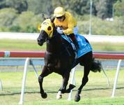 Dream Master Sheds Maiden Tag In Style