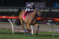 Houtzen no lock for Everest