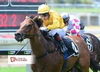 Impregnable Plays His Part In Winning 24 Hours For All Gold