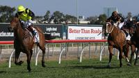 Four winners on Gold Coast push Jeff Lloyd back to top in premiership race