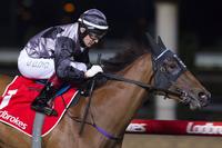 Brilliant Moonee Valley Win for Houtzen