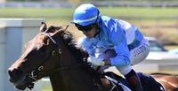 Team Edmonds chasing more Magic Millions glory