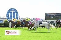 Tough Guy Gets A City Winner